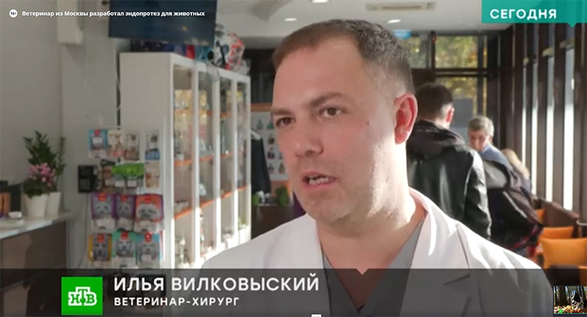 В МЕДВЕТ устанавливают эндопротезы напечатанные на 3D-принтере