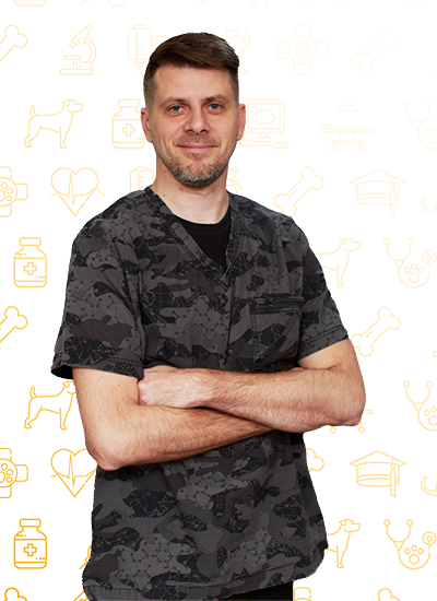 Шпиньков Дмитрий Владимирович