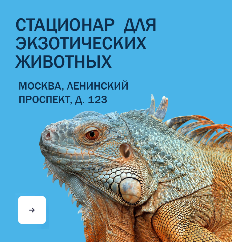 Баннер шапка "Специалисты"