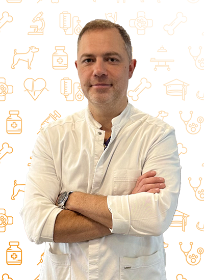 Вилковыский Илья Федорович