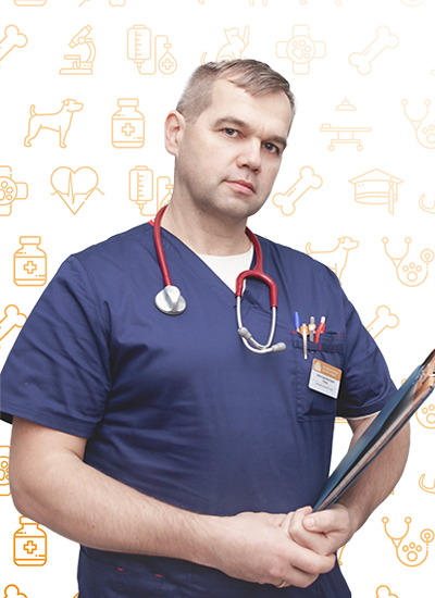 Порада Вячеслав Борисович