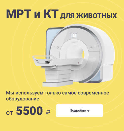 Баннер - Страница "Услуги и цены" #3